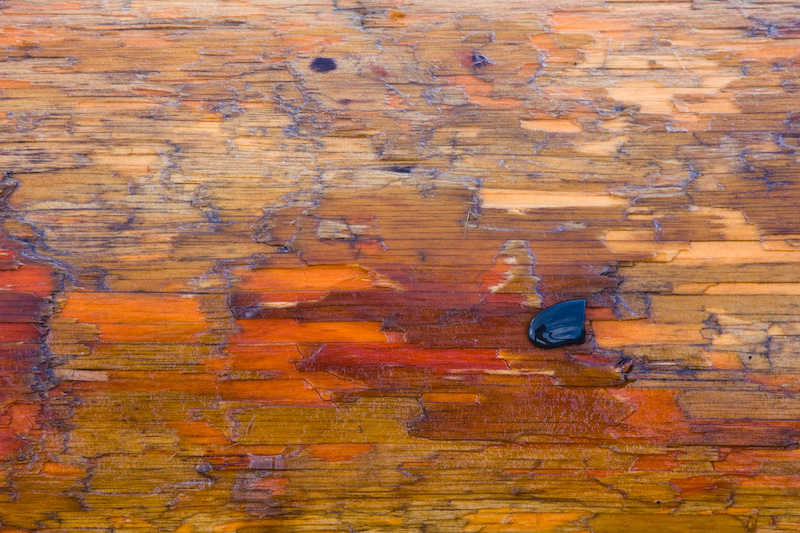 Pebble On Driftwood